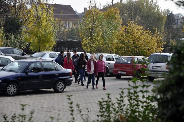 csibetábor az aranyban 17